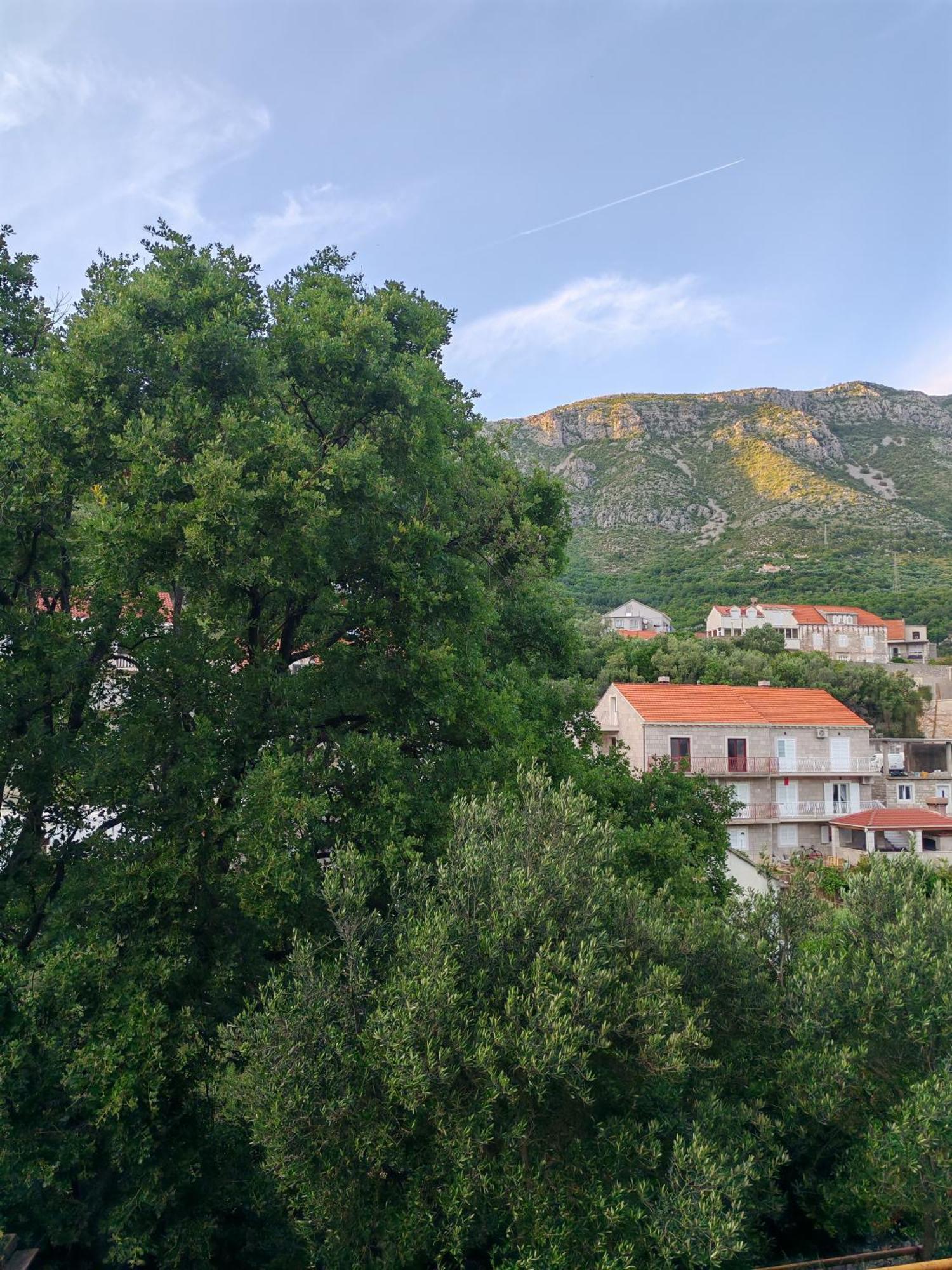 Apartment Oscar Mokošica 客房 照片